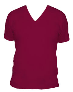 American Apparel Jersey V-Neck T-Shirt image